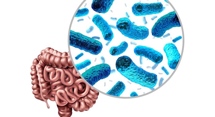 microbiom, gut microbiome, sănătate intestinală, digestie, imunitate, axa gut-brain, serotonină intestinală, dysbiosis, boli inflamatorii intestinale, obezitate microbiom, IBS microbiom, microbiom mental health, SCFA, short-chain fatty acids, fiber rich diet, prebiotice, probiotice, alimentație fermentată, Kefir, iaurt, fermentare lacto, microbiom diversitate, carte Eat Yourself Healthy, Megan Rossi, carte Fiber Fueled, Will Bulsiewicz, microbiome books, gut health books, reset gut, microbiome therapy, fecal transplant, TMAO, boli cardiovasculare, dietă mediteraneană, stil de viață, stress management, somn gut health, antibiotic impact microbiome, alăptare microbiome, naștere cezariană microbiome, microbiom copii, flora intestinală, simptome disbioză, oboseală și microbiom, greutate și microbiom, alimentație plant-based, legume și microbiom, fructe microbiom, diverse bacterii intestinale, Bifidobacteria, Lactobacilli, gut-brain communication, neurotransmitters gut, reglare imunitară, colagen microbiome, probiotice efecte, prebiotice naturale, microbiom skin health, microbiom cancer, microbiom alergii, microbiom depresie, microbiom anxietate, microbiom autism, microbiom stroke, microbiom sănătatea inimii, microbiom diabet, microbiom obezitate, microbiom inflamare, anti-inflamator microbiome, asistență medicală microbiome, nutriție microbiome, terapie microbiome, fermentații alimentare, fibre dietetice, alimentație completă, alimentație holistică, microbiom lifelong, evoluție microbiom, microbiom genetică, microbiom mediu, microbiom antibiotic, recuperare microbiom, microbiom sănătatea pielii, microbiom metaboliză, microbiom neuroendocrin, microbiom HPA axis, microbiom depresie, microbiom memorie, microbiom autism, microbiom imun, microbiom cancer colorectal, microbiom boli cardiace, microbiom recuperare, psihobiotic, nutriție, sănătate, stare de bine, bilețe metabolice, sistem imunitar, sănătate mentală, obiceiuri sănătoase, suplimente, detox, reset diet, educație sănătate, prevenție, ecologie internă, echilibru intern, longevity, healthy gut, wellness, functional foods, lifestyle medicine, holistic health, plant-based fiber, microbiome diversity, anti-aging microbiome, gut reset plan, microbiome care, gut ecosystem, thriving gut.